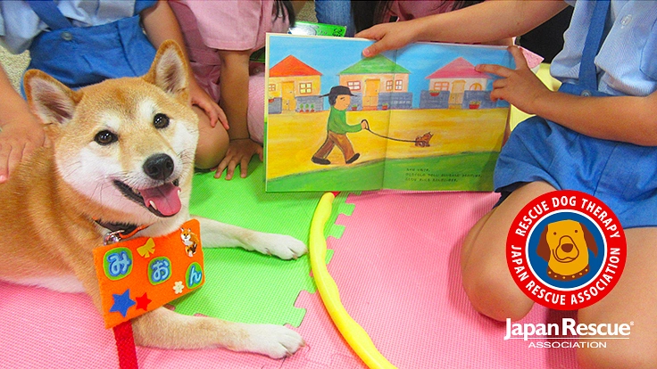 【第2弾】セラピードッグとふれあえる施設の改修工事を実施したい