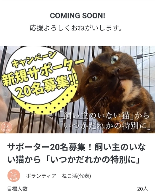 11月22日(金)10時～1月22日(水)までマンスリーキャンペーンプロジェクトをいたします