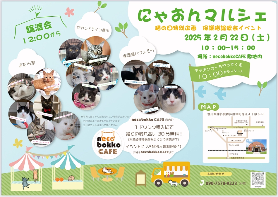 プロジェクトスタート&猫の日イベント