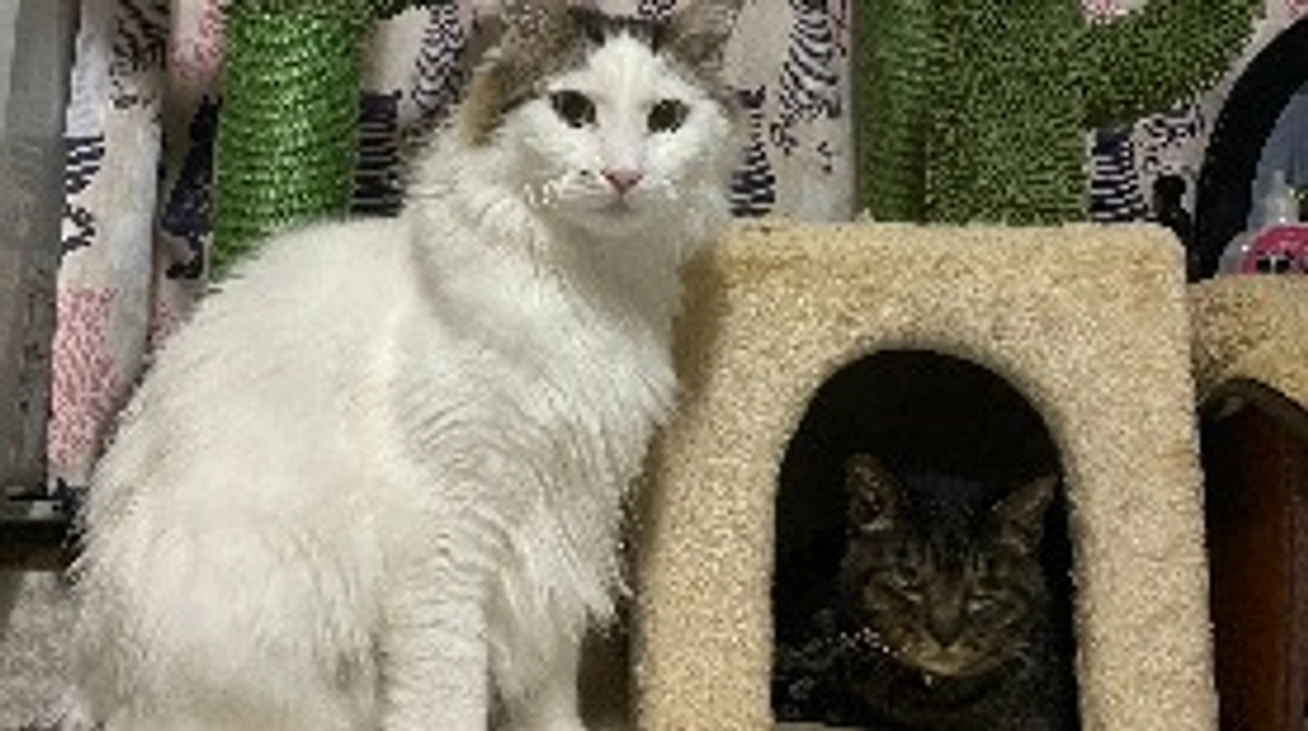 ご支援のご報告