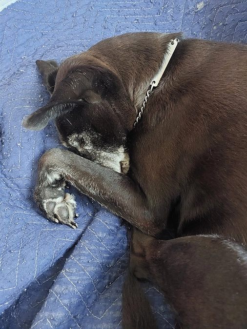 残り23日、入院することになりました