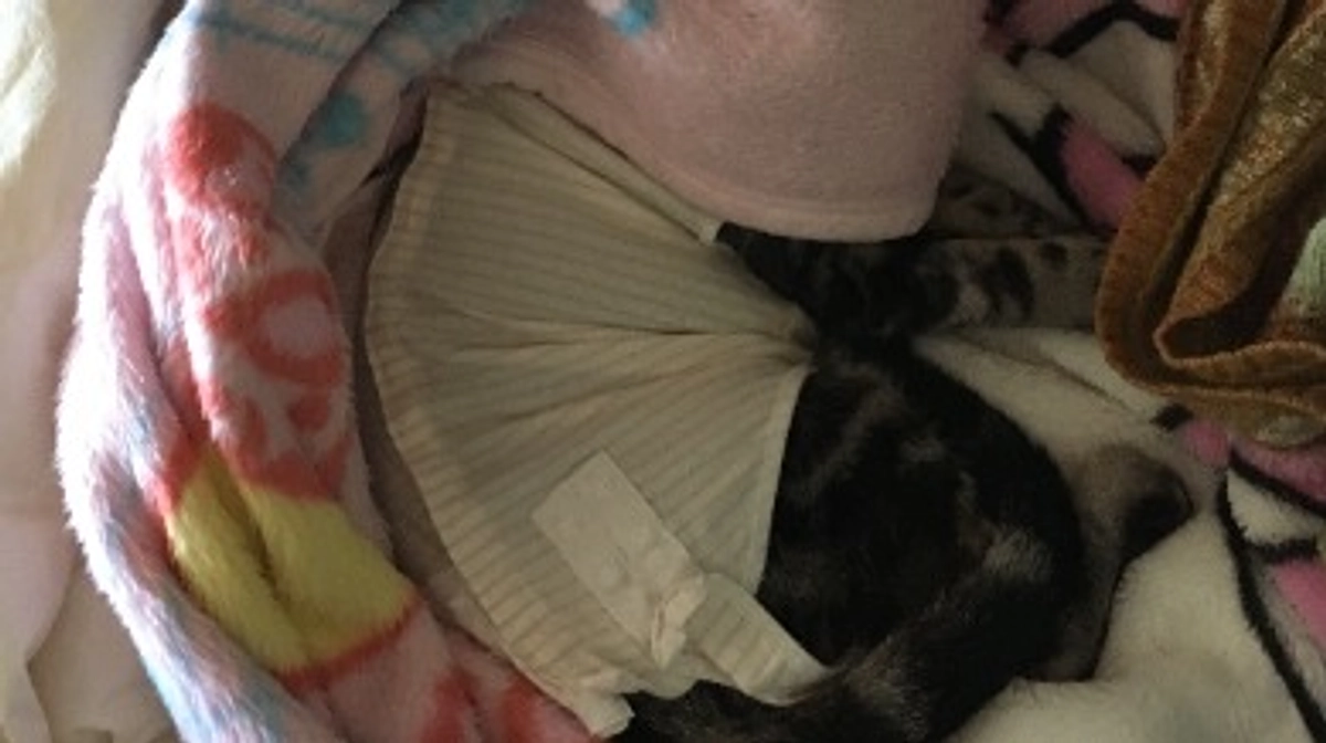 残り6日となります！