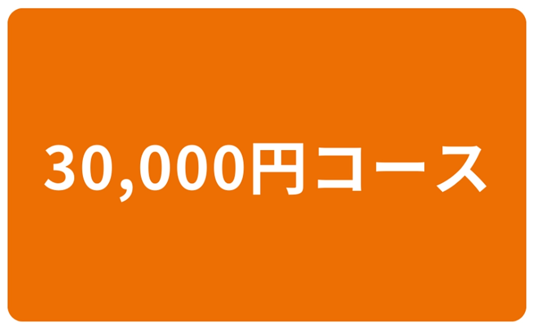 30,000円コース
