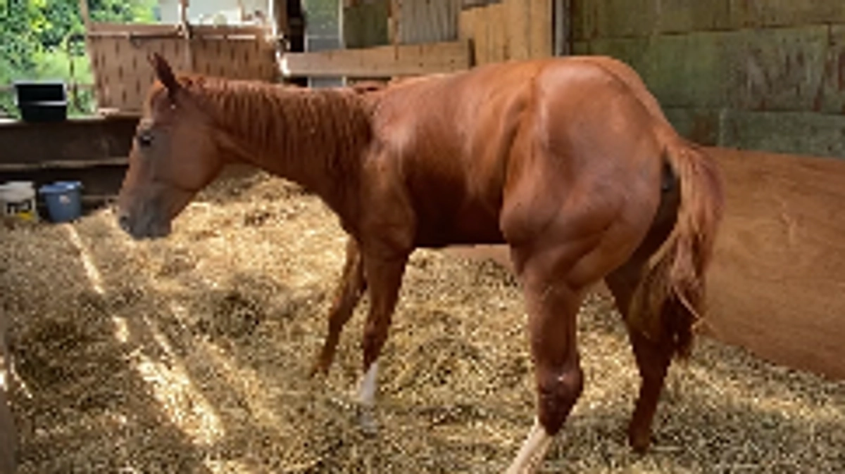 『2023.8.8』本日のご報告