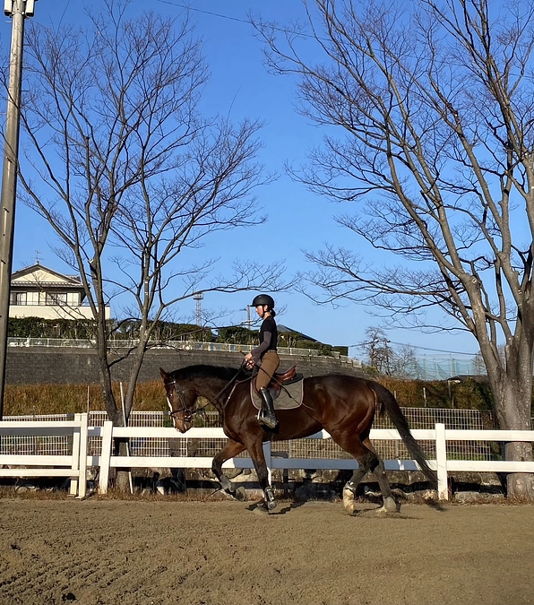 グラット・シエル（マテンロウイーグル）すこぶる順調です