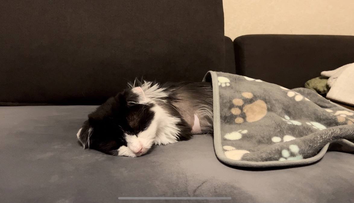 10/18のテオくんの様子