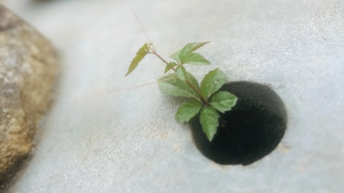 中門位置、過去の影を探して