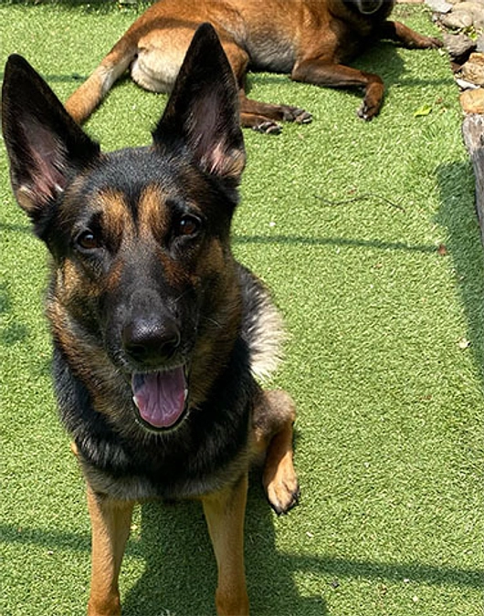 皆様のおかげで好調にスタートできました。