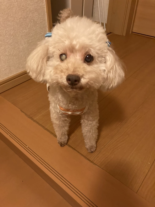 インスタライブ^_^