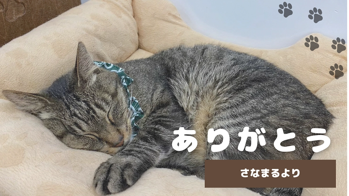 バンブーお別れ会　報告