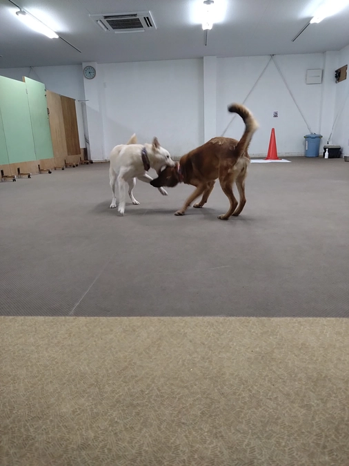 テレ朝さんで放送して頂きました！