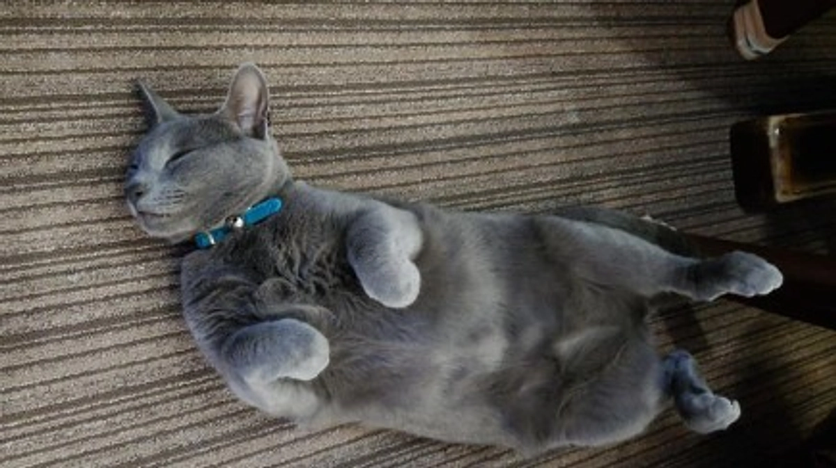 今までの治療明細について