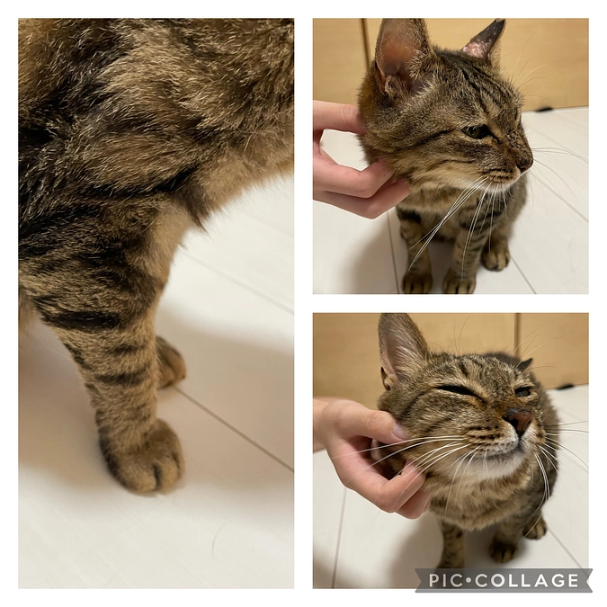 プロジェクト達成ありがとうございました。