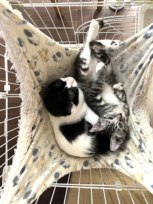 残りあと１１日となりました！