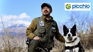 人とクマとの共存のために働く犬「ベアドッグ」を未来へ繋げたい！ のトップ画像