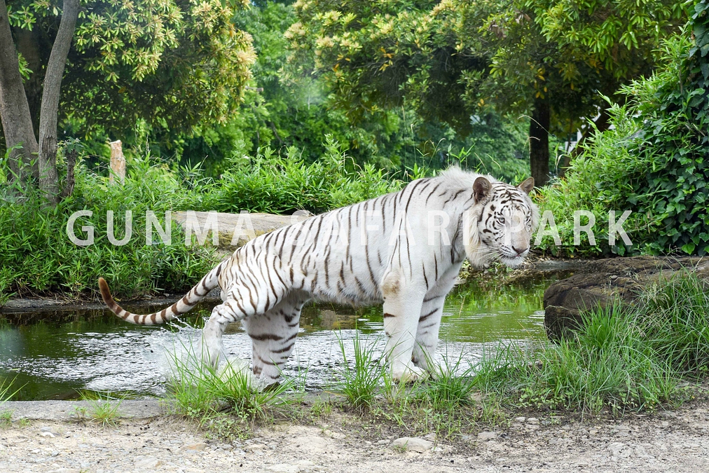 1月29日(月) 進捗報告・返礼品紹介～壁掛けカレンダー～
