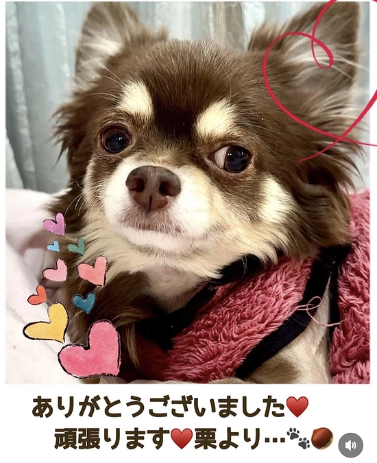 2024/1/14 　残り14日　昨晩はインスタライブご視聴ありがとうございました🎵