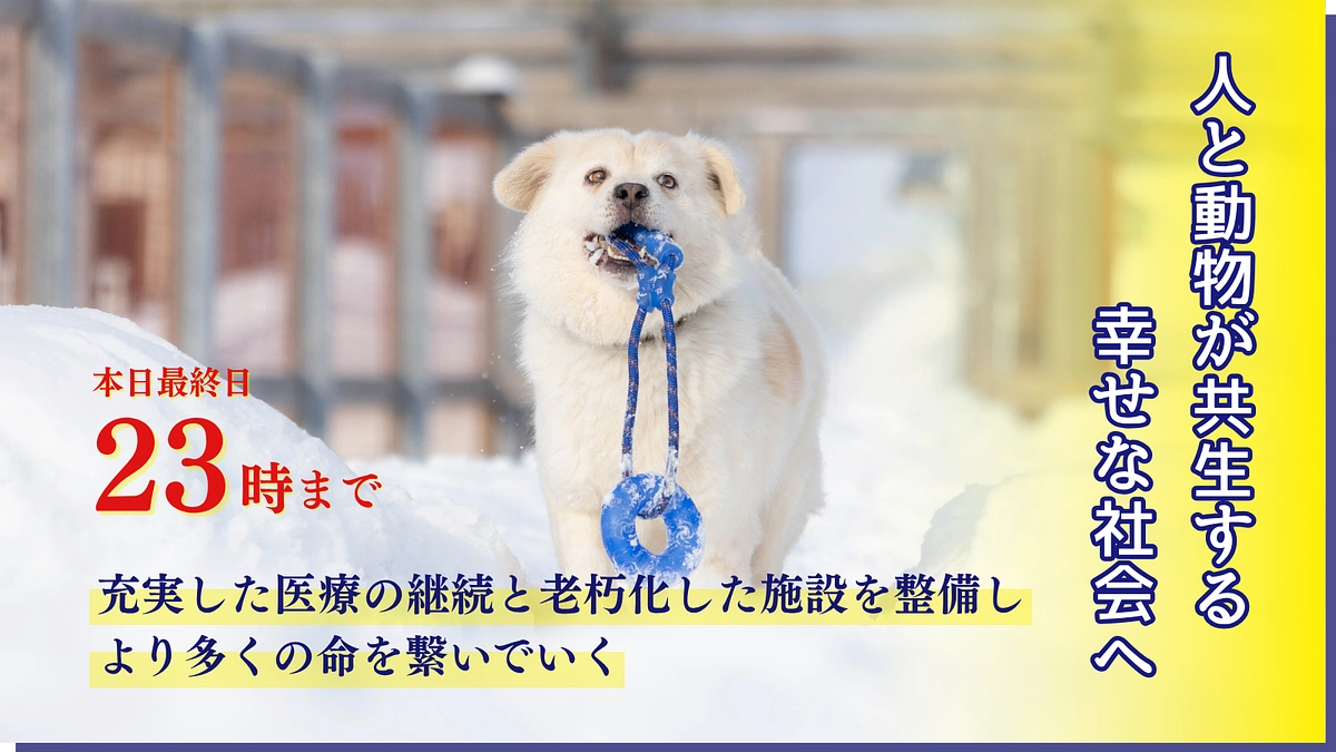 応援お願いします！【本日最終日　ご支援募集は23時まで】