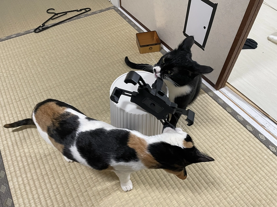 飲み薬開始その10！