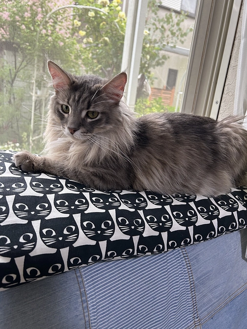 カヌレの挑戦を広めていただけませんか？