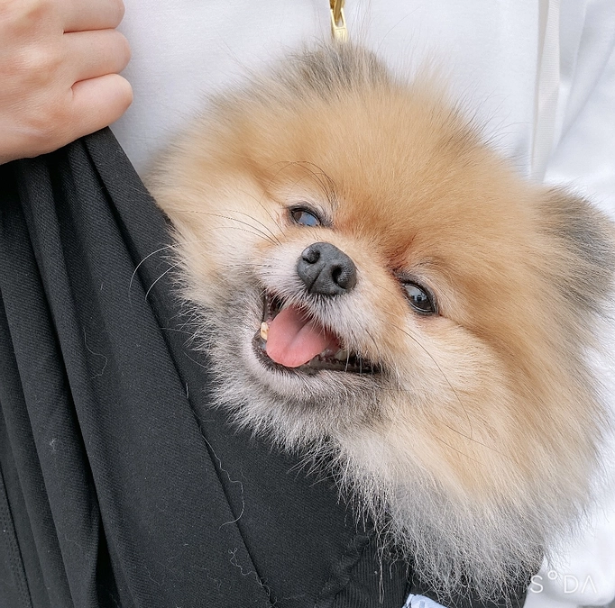 大切なお知らせ