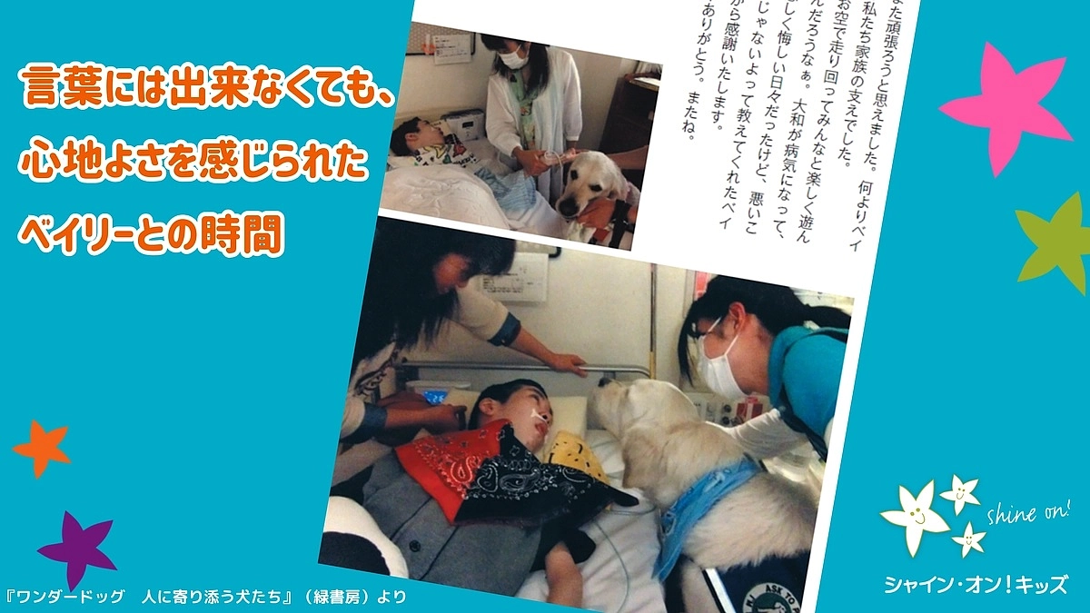 言葉には出来なくても、心地よさを感じられたベイリーとの時間