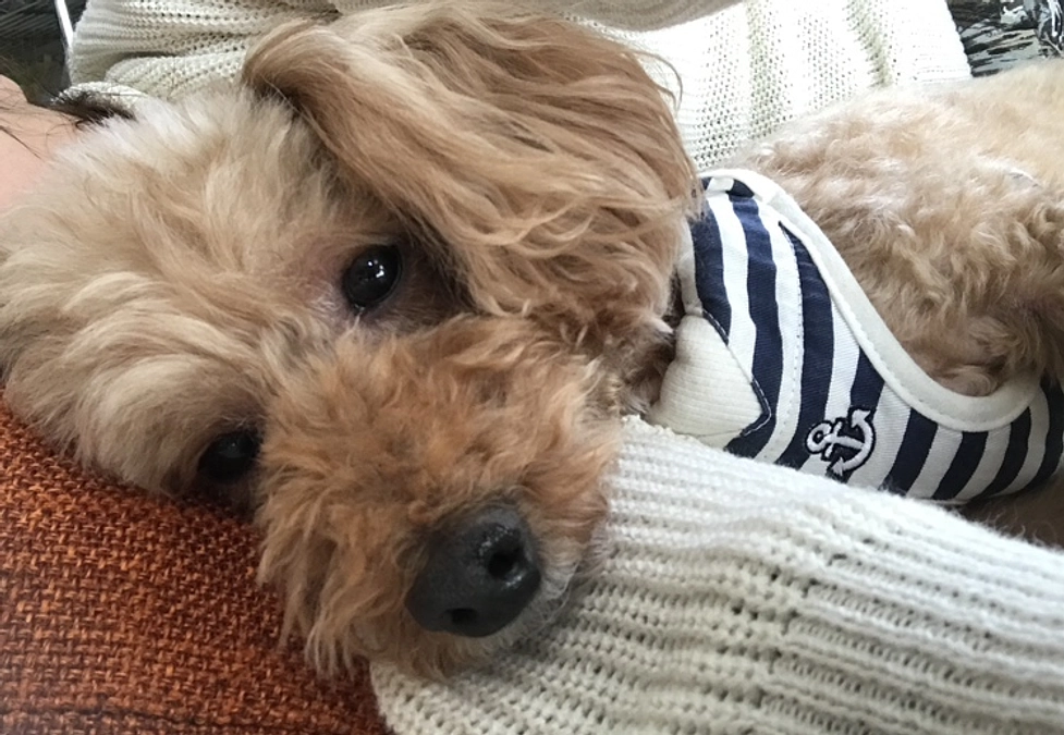 応援メッセージが届きました！