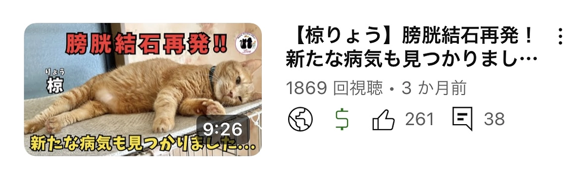 膀胱結石再発しました