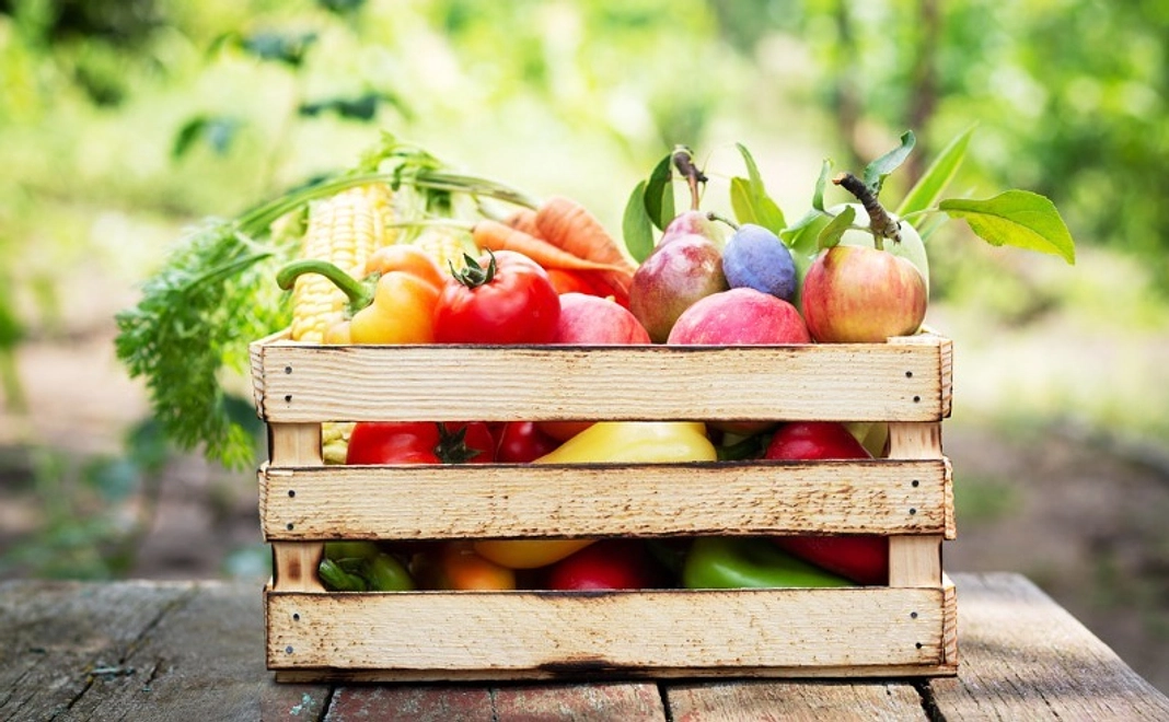 野菜宅配セット×2回