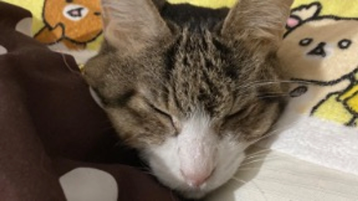 1/26 退院してから5日目です