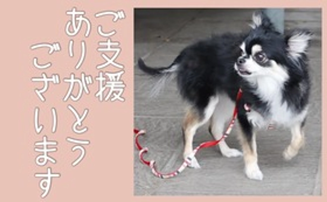 メルへのご支援ありがとうございます②