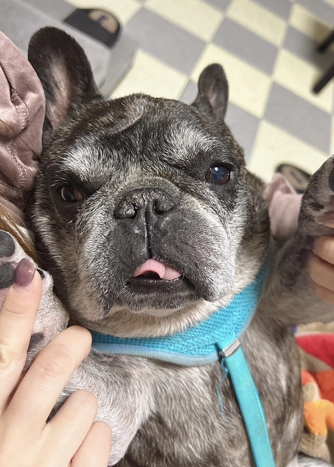 びあくんの活動報告と近況報告😊‼️