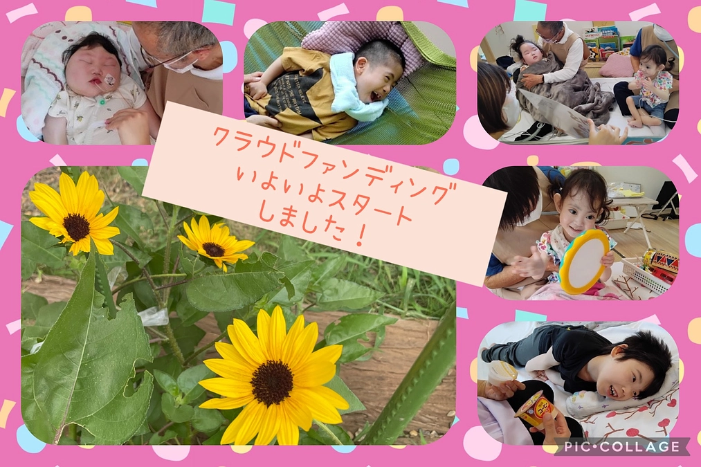 いよいよスタートしました！