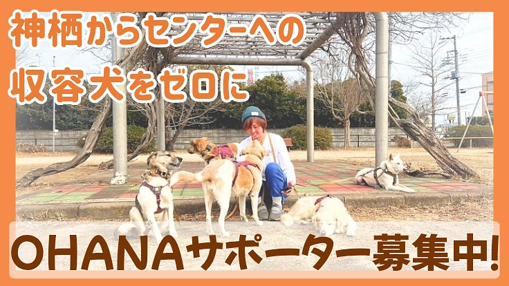 神栖からセンターへの収容犬をゼロに｜OHANAサポーター募集中！
