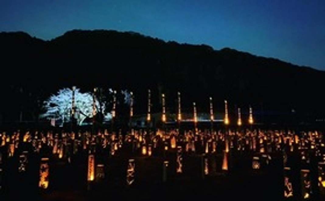 感謝のお礼メール 竹灯りを点灯出来る権利