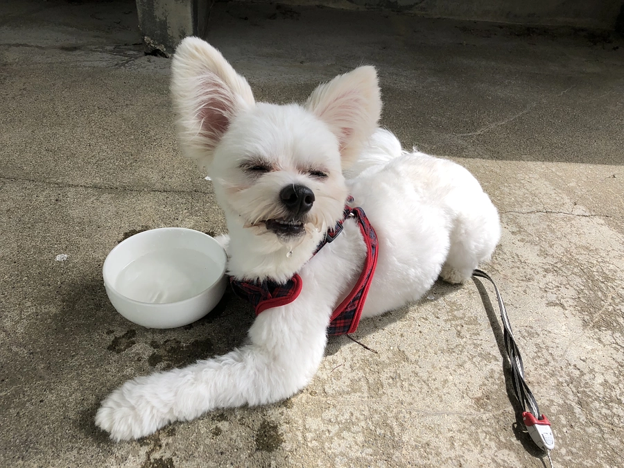 代理支援にゆうちょ銀行を追加致しました。