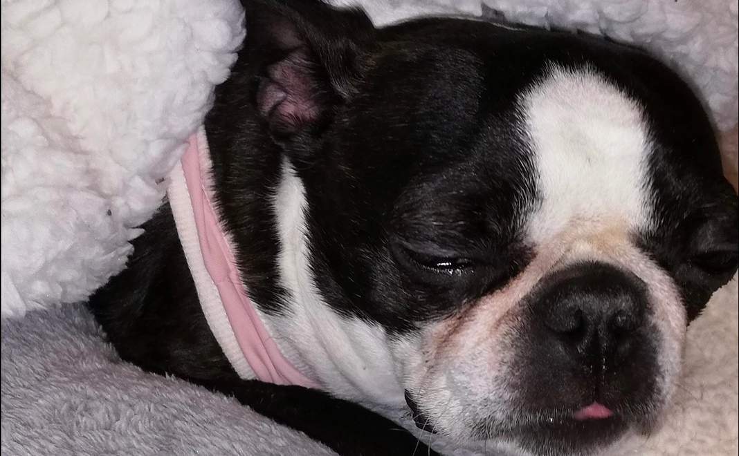 TSUNAGUシェルター開設応援コース5000