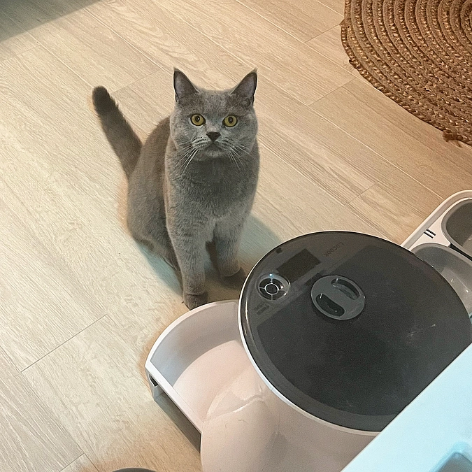 ご飯おねだり🤲