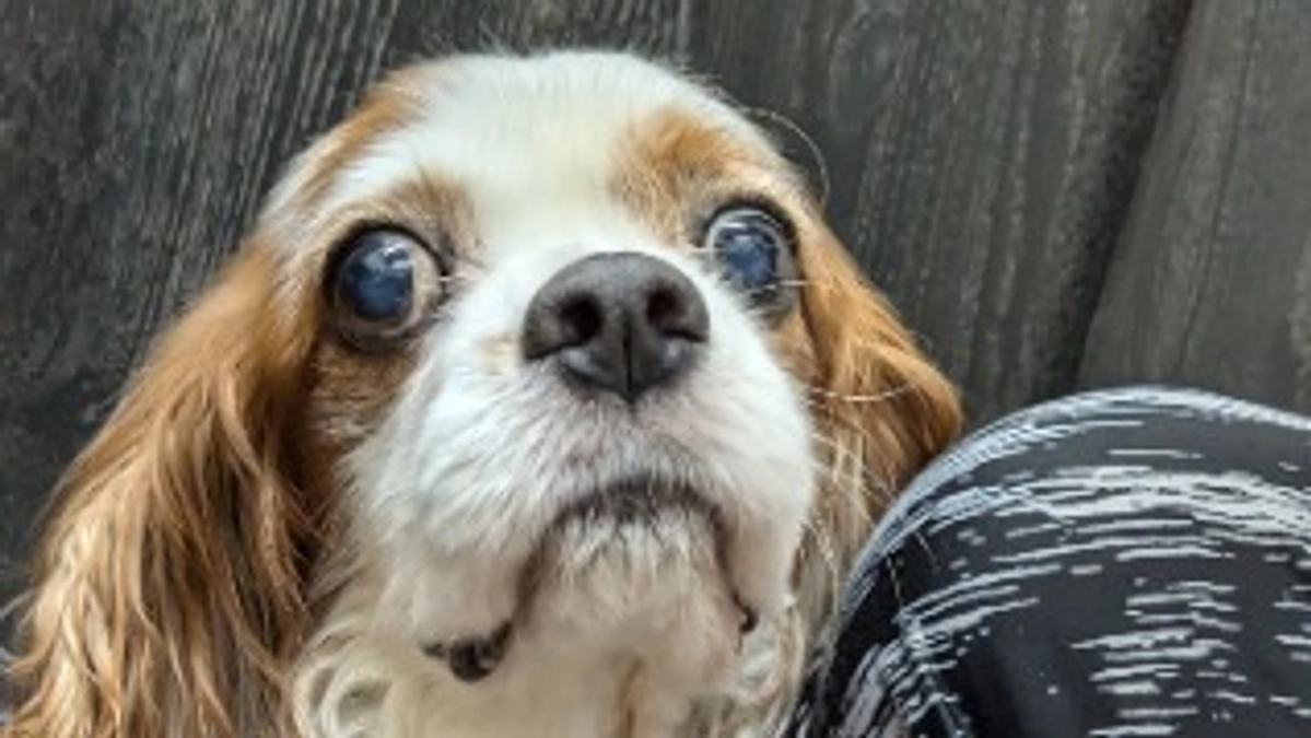 術後9日目　退院間近かも