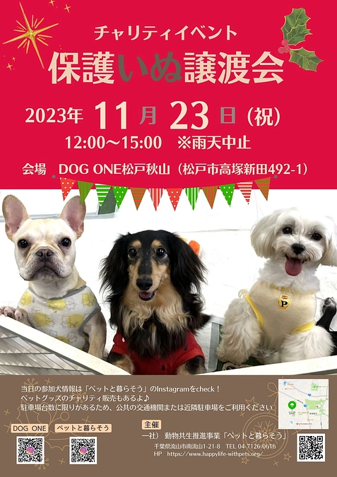 DOG ONE松戸秋山さんでの譲渡会♪