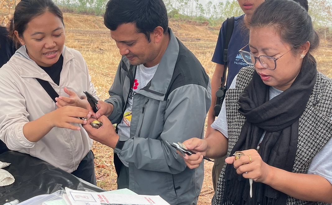 【250,000円】越冬ねぐら調査参加権つきシマアオジ応援コース（コーンケーンまでの旅費・宿泊費は別途自己負担）