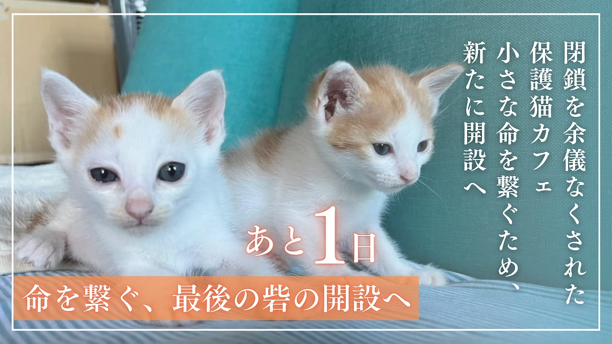 残り1日！支援募集は明日23時までです！