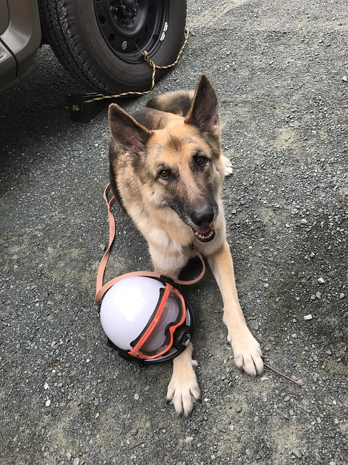 目標金額を達成いたしました。