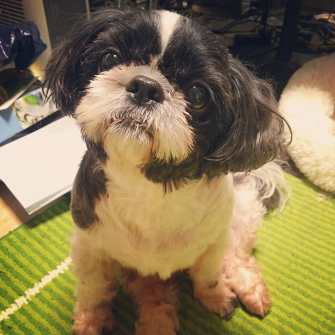 残3日。ようやく御礼できました。