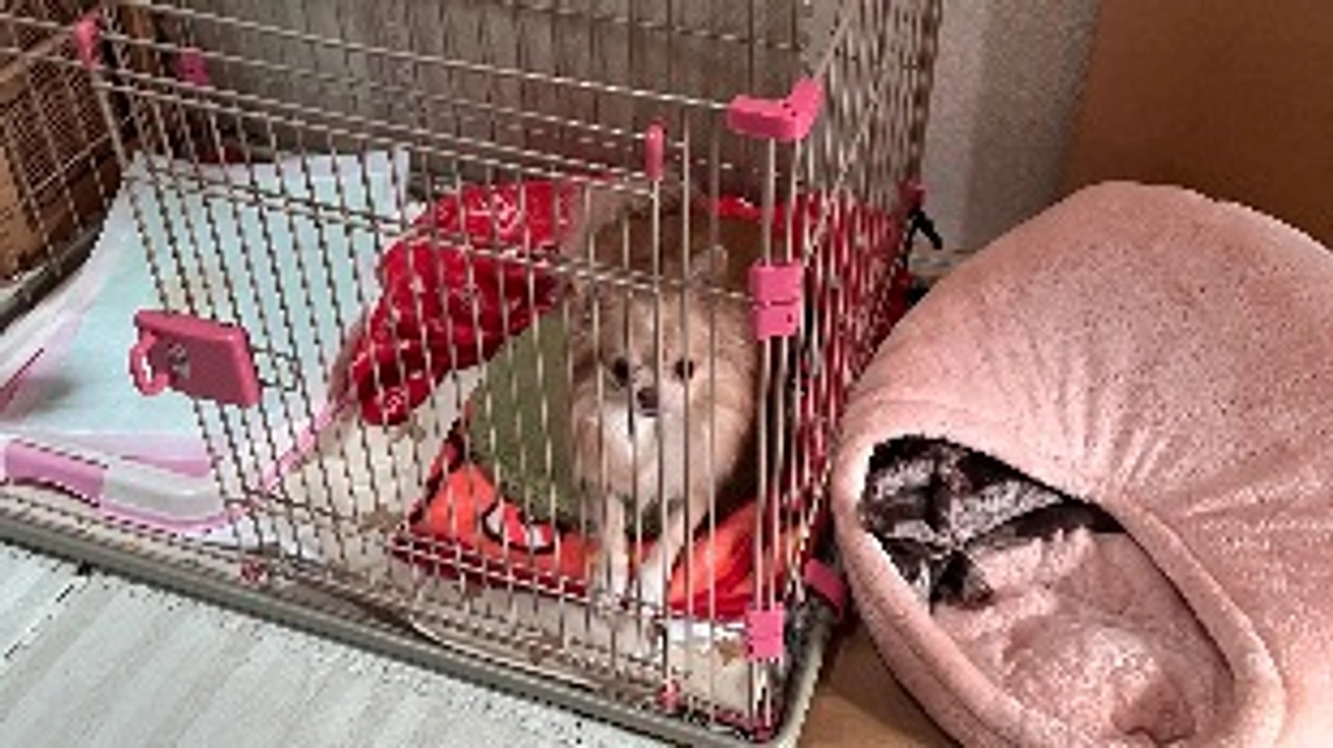 夜遅くの投稿すみません🙏