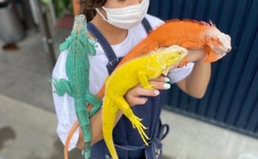 感謝とお礼のメールをいたします。