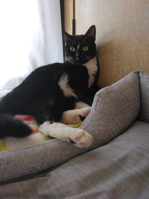 7/3はなちゃんの様子