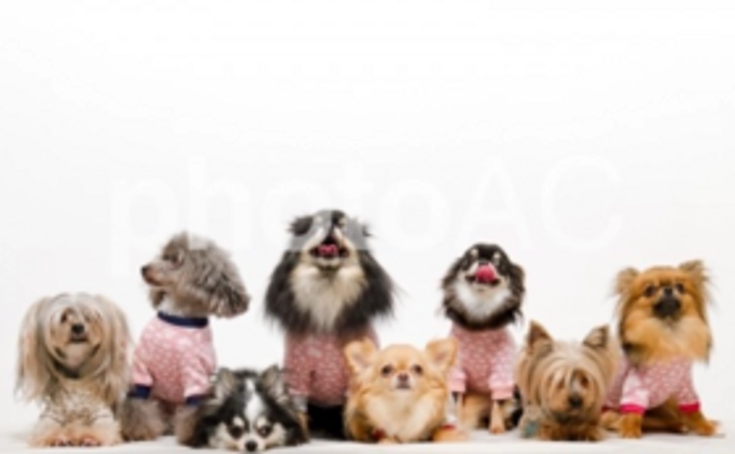 ペットホテルご利用２日券（Sサイズ）