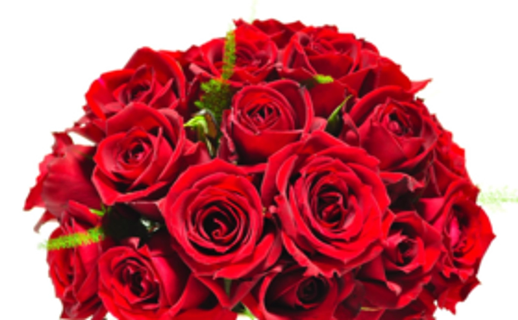 感謝の気持ちをお届け！