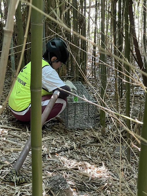 猛暑の廃棄物埋立処分場で──マダニ感染症と熱中症、2つのリスクの中で命を救う